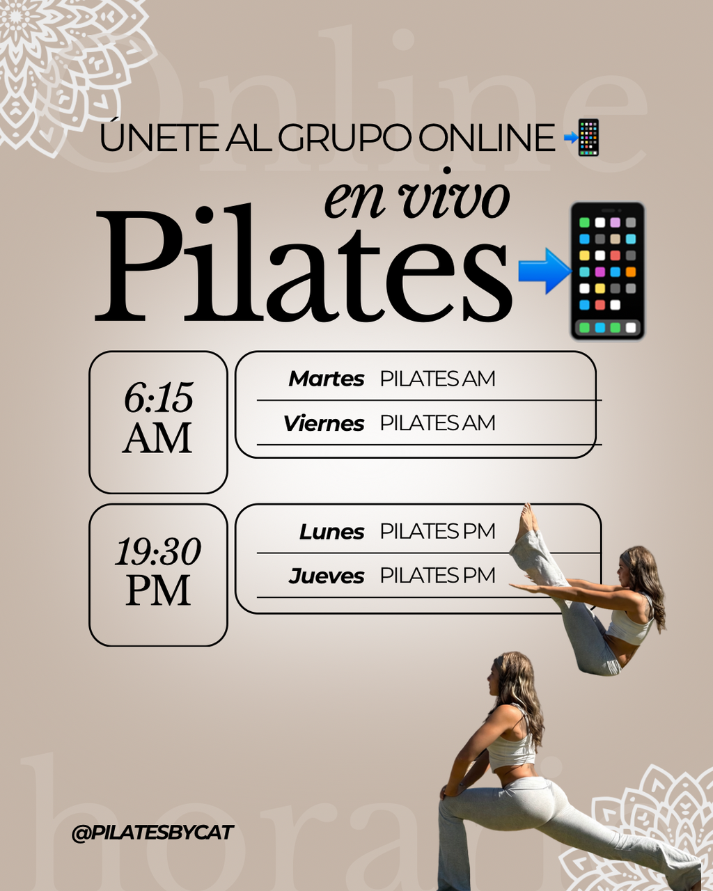 CLASES EN VIVO PILATES